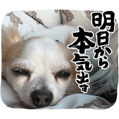 Osugi_20251118202155