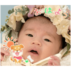 Shiho_20251118203733