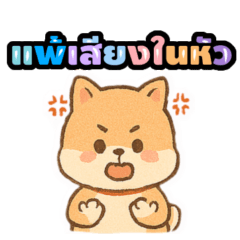 puppy..puppy
