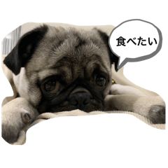 kitotoharu_20251118192506