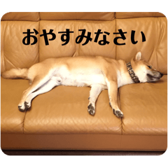 gussan_20251118214412