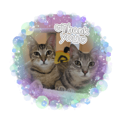 haruka_20251118205108