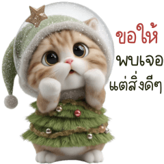 เต้าหู้ อวยพรทุกเทศกาล 2_65