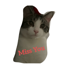 我的愛～ 名字叫屁股 2021/06/15