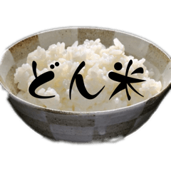 Kinako_20251118212813