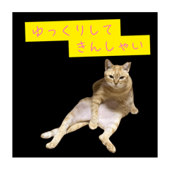 GonzA_20251118215729