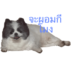 The gang sk1_20251118163354