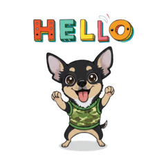 我家小吉真可愛