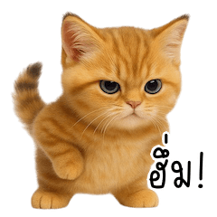 Cute Pointy-Eared Orange Kitten – LINE stickers | LINE STORE