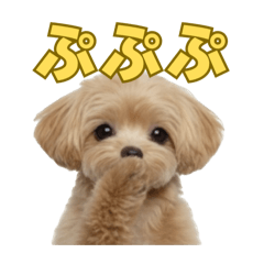 summer_20251118205818