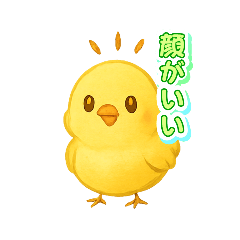 koto_20251118215725