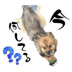 rasuku_20251118110738