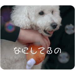 arisa_20251118222945