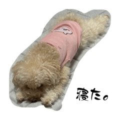 satoshi_20251119023900