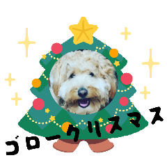 GORONTA_20251118232044