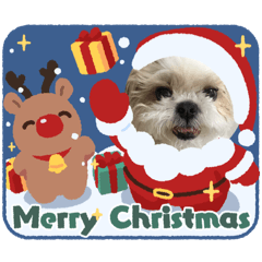 meguchan_20251119090245