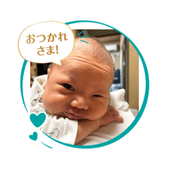 SAKURA_20251119110135