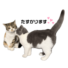 arisa_20251119105630