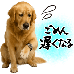 Golden Retriever Family Message