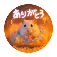 Misaki_20251119114311