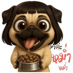 Lisa lady PUG