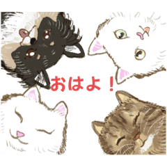 わんにゃん集合！！