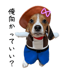 haru_202511181014485