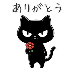 Piercing-Eyed Black Cat - Remake