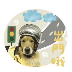 Crazy and adorable  Ah Jin Bao