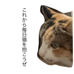 Kinokomen_20251118180053