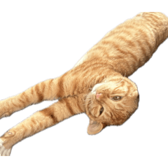 MIRAIdesu_20251119131611