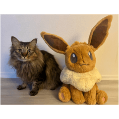 hiroki_20251119125326