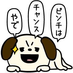 ポヨポヨ犬挨拶ポジティブ