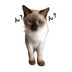 Use it when you don't know.