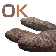 MAKOTO_20251119165012