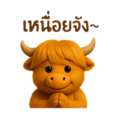 ควายน้อยขนปุยน่ารัก!