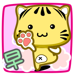 可愛條紋小貓貓!!!CAT148