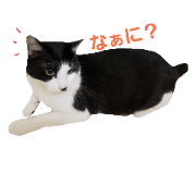 Reony2
