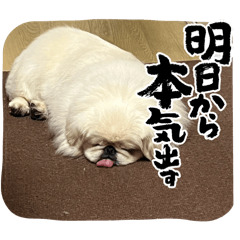 natsu_20251119175809