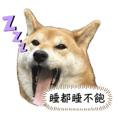 霸道總柴一家の日常 part2