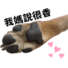 哈密瓜 腳仔咖日常