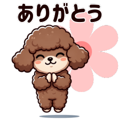 Cute Poodle Gentle Polite Phrases