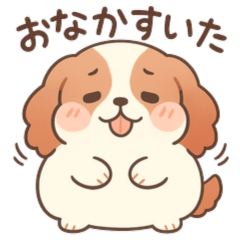 ★使いやすいスパニエルの日常★