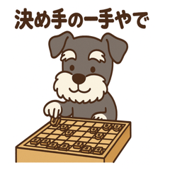 Schnauzer Hobbyful Days