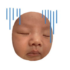 屁仔的成長日記