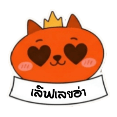 Orange cats rule the world cute