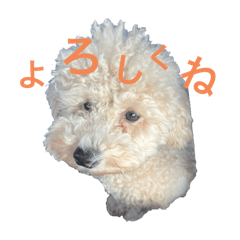 iwara_20251119202912