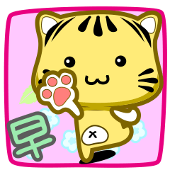 可愛條紋小貓貓!!!CAT155