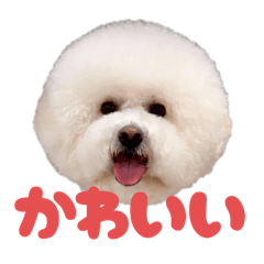 Emily_20251119235326