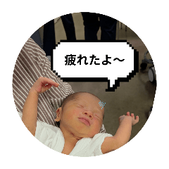 Fukafuka_20251119155255